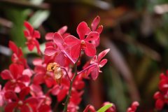 IMG_2023-scaled