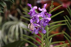 IMG_2140-scaled