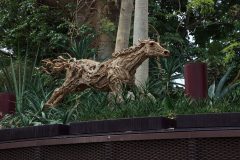 IMG_2163-scaled