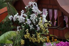 IMG_2169-scaled