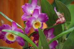 IMG_2182-scaled