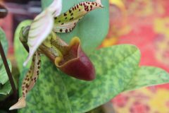 IMG_2200-scaled