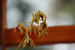 IMG_2207-scaled
