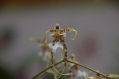 IMG_2216-scaled