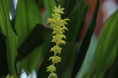 IMG_2220-scaled