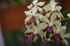 IMG_2224-scaled
