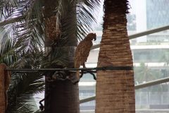 IMG_2237-scaled