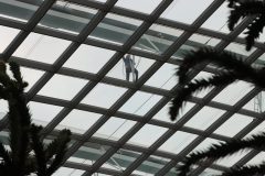 IMG_2245-scaled