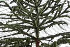 IMG_2247-scaled