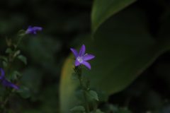 IMG_2266-scaled