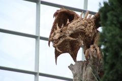 IMG_2278-scaled