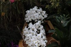 IMG_2295-scaled