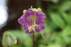 IMG_2307-scaled