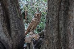 IMG_2318-scaled