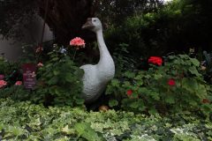 IMG_2323-scaled
