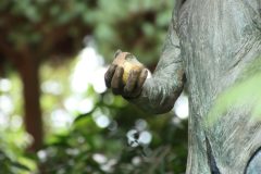 IMG_2340-scaled