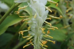 IMG_2421-scaled