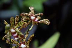 IMG_2426-scaled