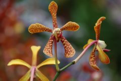 IMG_2436-scaled