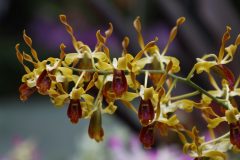 IMG_2478-scaled
