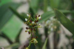 IMG_2534-scaled