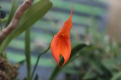 IMG_2540-scaled