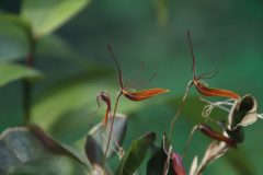 IMG_2546-scaled