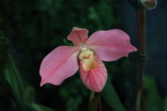 IMG_2547-scaled