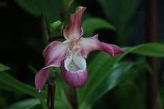 IMG_2549-scaled