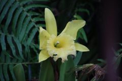 IMG_2565-scaled