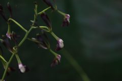 IMG_2574-scaled