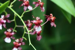 IMG_2603-scaled