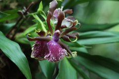 IMG_2608-scaled