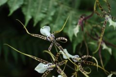 IMG_2614-scaled
