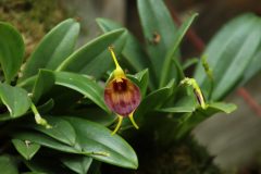 IMG_2622-scaled