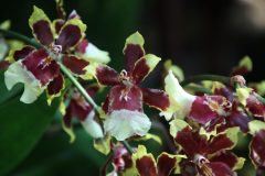 IMG_2624-scaled