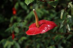 IMG_2644-scaled