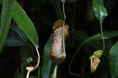 IMG_2651-scaled