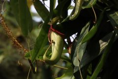 IMG_2661-scaled