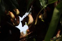 IMG_2663-scaled
