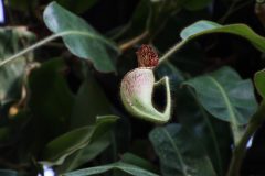IMG_2669-scaled