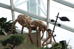 IMG_2682-scaled