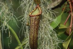 IMG_2700-scaled