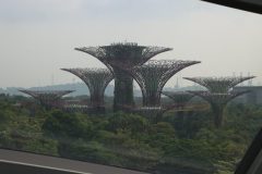 IMG_2720-scaled