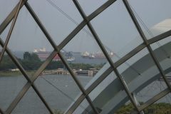 IMG_2733-scaled