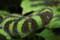 IMG_2850-scaled