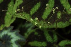 IMG_2854-scaled