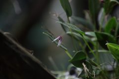 IMG_2864-scaled