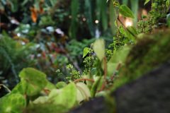 IMG_2900-scaled