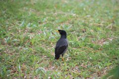 IMG_2901-scaled